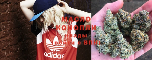 метадон Алексин